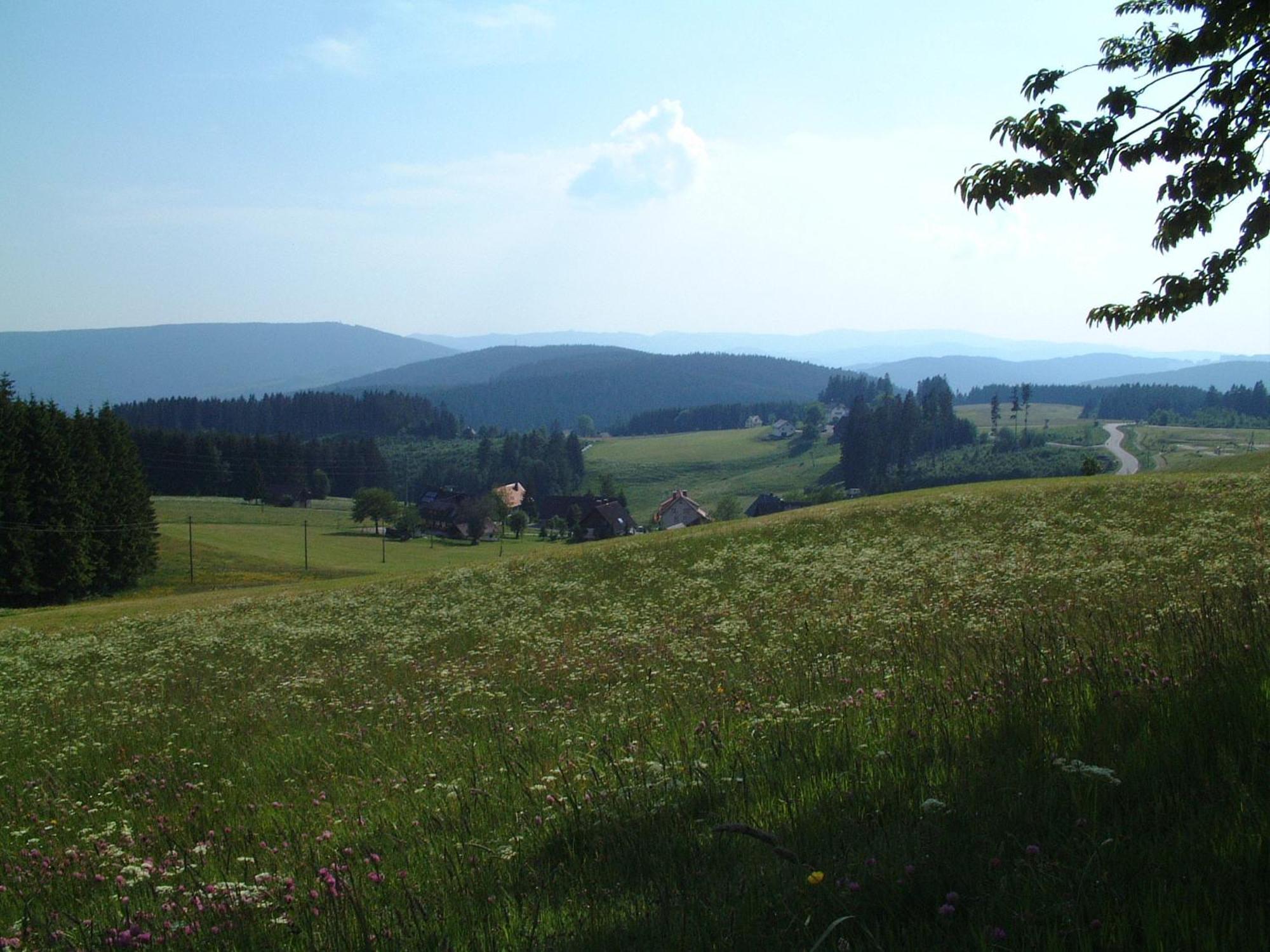 Café-Pension Feldbergblick Titisee-Neustadt Eksteriør billede
